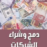 دمج وشراء الشركات (الطبعة الثانية)