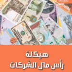 هيكلة رأس مال الشركات