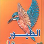 الطيور (بالألوان)