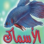 الأسماك (بالألوان)