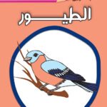 الطيور
