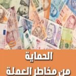 الحماية من مخاطر العملة (الطبعة الثانية)