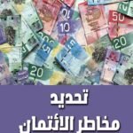 تحديد مخاطر الائتمان (الطبعة الثانية)