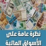 نظرة عامة على الأسواق المالية (الطبعة الثانية)