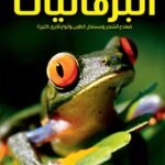 ضفضع الشجر وسمندل الطين وغيرها من البرمائيات