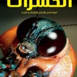 أسود النمل والزنابير وغيرها من الحشرات