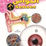 الحواس