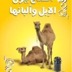 العلاج ببول الإبل وألبانها