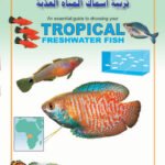 تربية اسماك المياه العذبة (بالألوان)