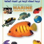 تربية أسماك الزينة في المياه المالحة (بالألوان)