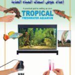 إعداد حوض اسماك المياه العذبة (بالألوان)