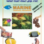 إعداد حوض أسماك المياه المالحة (بالألوان)