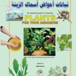 نباتان أحواض أسماك الزينة (بالألوان)