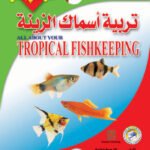 تربية أسماك الزينة (بالألوان)