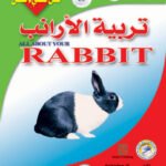 تربية الأرانب (بالألوان)