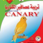 تربية عصافير الكناريا (بالألوان)