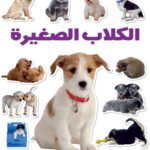 الكلاب الصغيرة