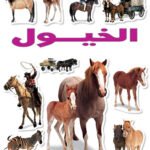 الخيول