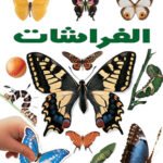 الفراشات