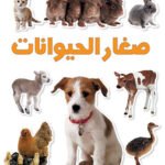 صغار الحيوانات