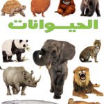 الحيوانات