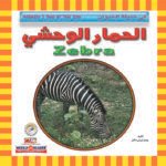 الحمار الوحشي