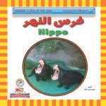 فرس النهر