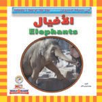 الأفيال