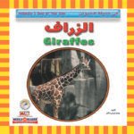 الزراف
