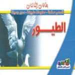 الطيور (بالألوان)
